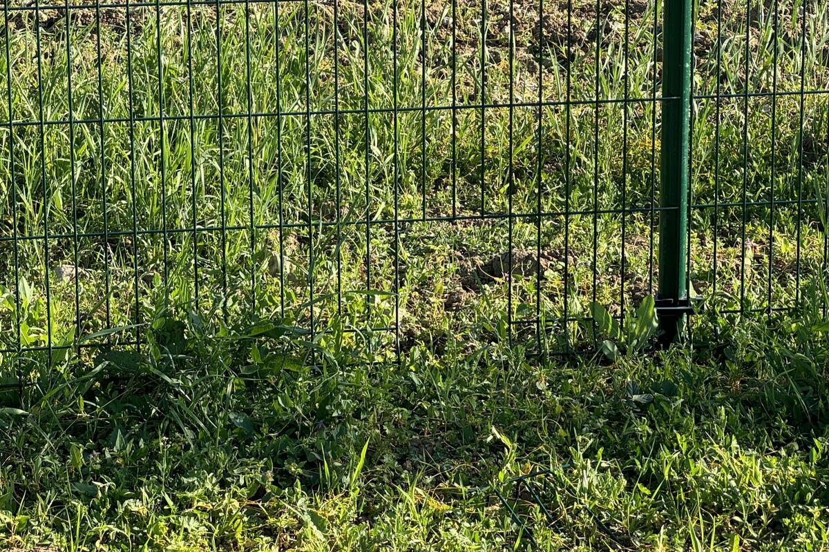 Niederwild-Durchlässe von mindestens 15 mal 15 Zentimetern alle 10 bis 15 Meter.  (Quelle: Wagner/DJV)