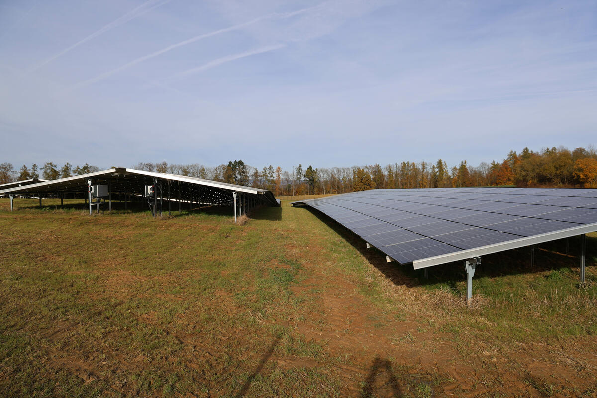 Freiflächen-PV-Anlage mit Ost-West-Ausrichtung in Traufdachform. (Quelle: Wagner/DJV)