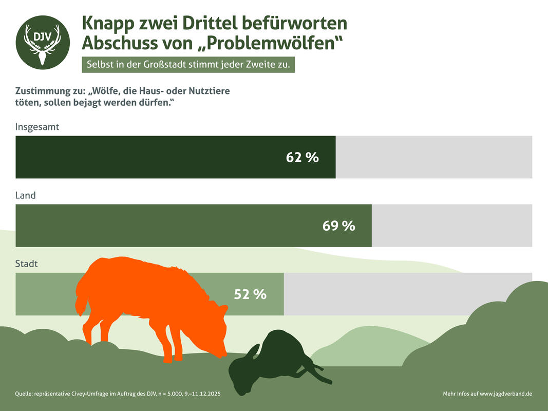 Insbesondere Wölfe, die Haus- oder Nutztiere töten, sollten laut Umfrage bejagt werden dürfen. (Quelle: DJV)