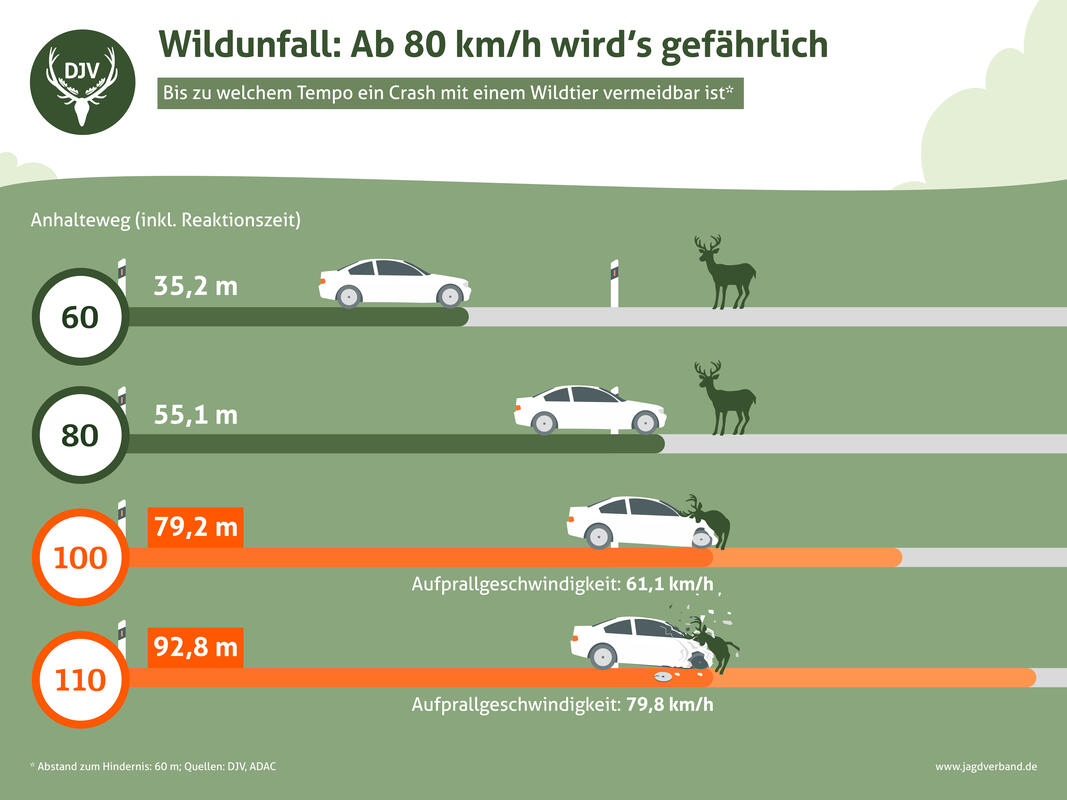 Schon 20 km/h weniger verkürzen den Bremsweg erheblich. (Quelle: DJV)
