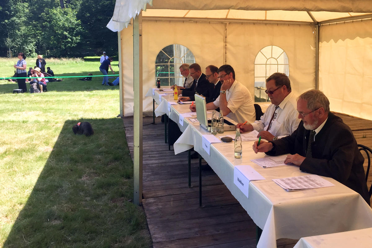 Jury beim Bundeswettbewerb Jagdhornblasen in Kranichstein 2017 (Quelle: DJV)