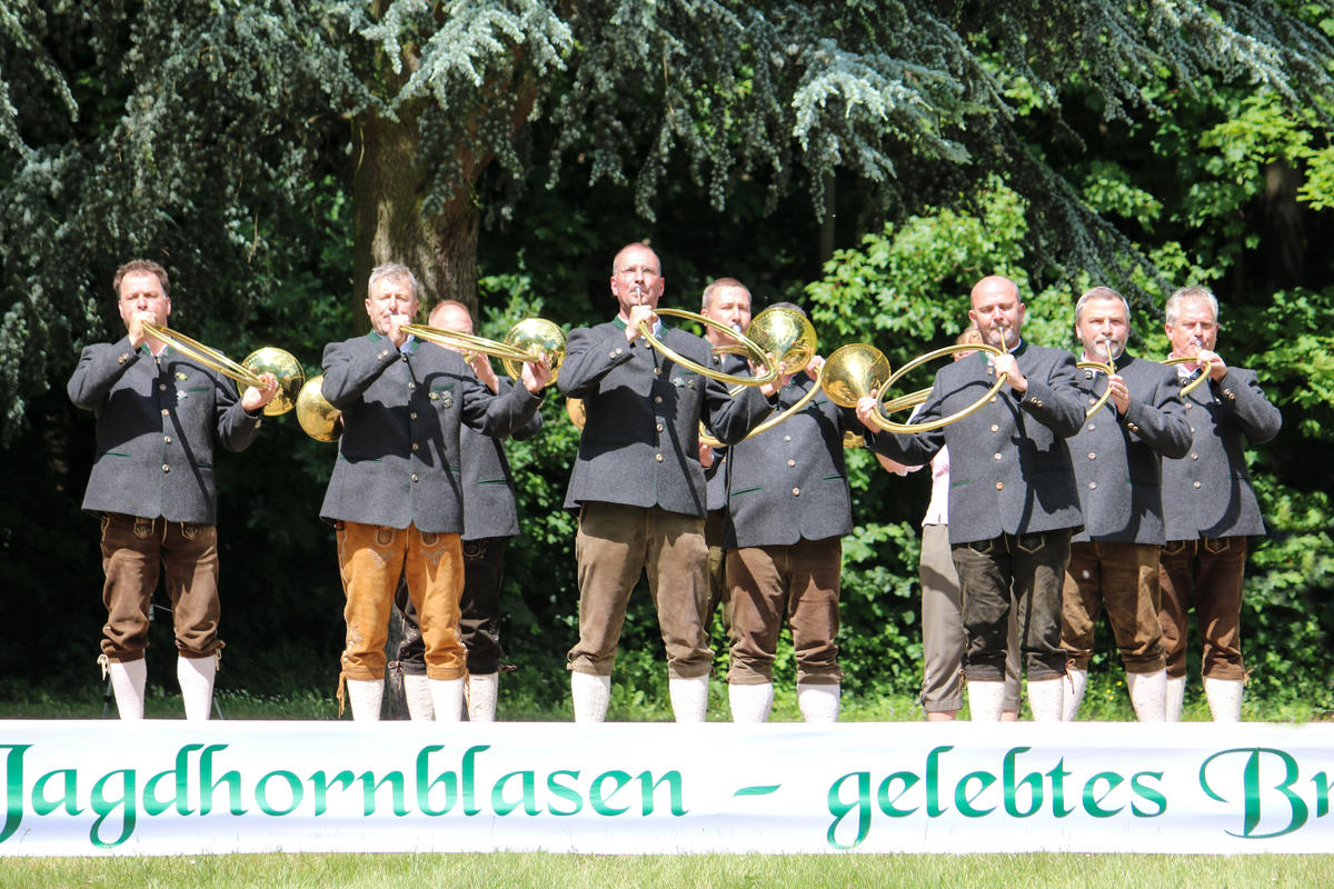 Drittplatziert in der Klasse Es: Bläsergruppe Mildetal-Gardelegen aus Sachsen-Anhalt beim Bundeswettbewerb Jagdhornblasen 2017 (Quelle: DJV)