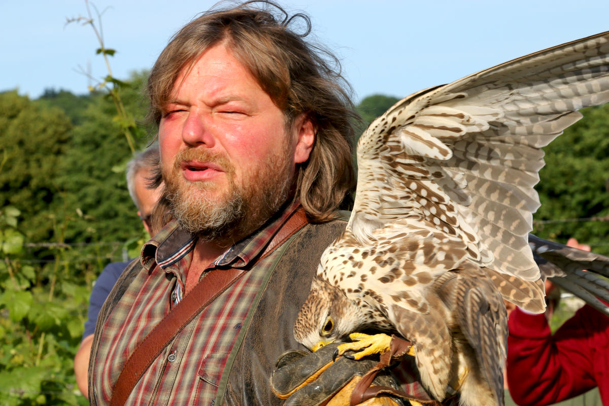 Hans-Peter Schaaf, Leiter des Jagd-Falkenhof im Wildgehege Moritzburg, präsentiert seine Greifvögel