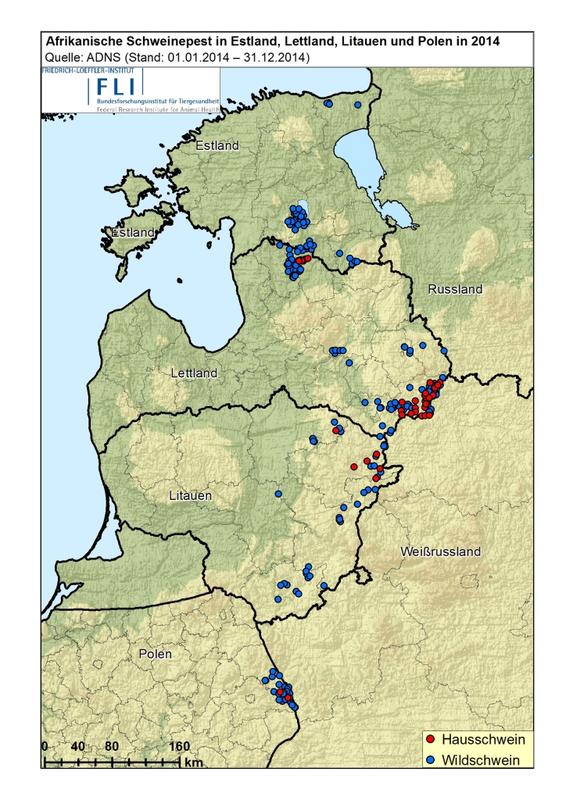Ausbreitung der afrikanischen Schweinepest in der EU 2014 (Quelle: FLI)