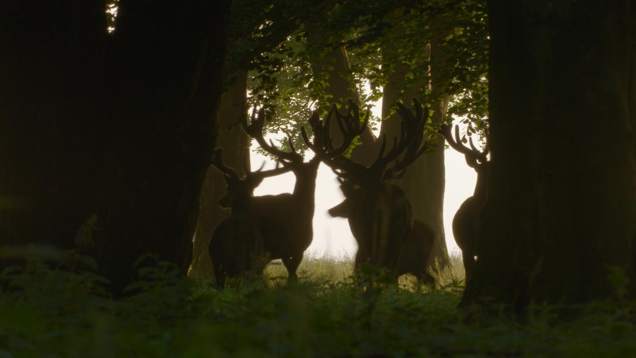  (Quelle: Broadview Pictures/DJV)