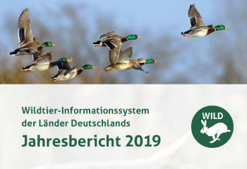 WILD-Bericht 2019 erschienen