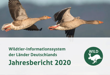 WILD-Jahresbericht 2020 liegt vor