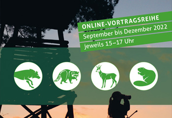 Zweite Runde Online-Vortragsreihe „Wildtiere und Mensch – Spannungsfelder und Lösungswege“ startet
