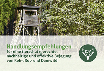 DJV-Broschüre „Handlungsempfehlung für Jagd auf Reh, Rot- und Damhirsch“