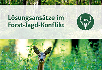 Erweiterte Neuauflage: Broschüre „Lösungsansätze im Jagd-Forst-Konflikt“